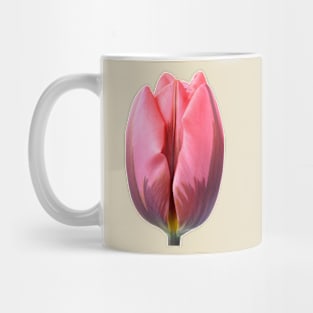 Tulipa &#39;Pretty Princess&#39; Triumph Group Tulip Mug